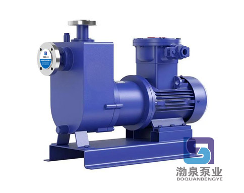 ZCQ65-50-145_不銹鋼耐腐蝕自吸磁力泵