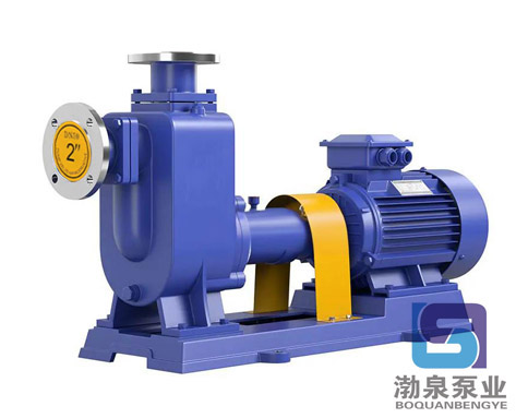 ZW65-25-40_自吸式無堵塞排污泵